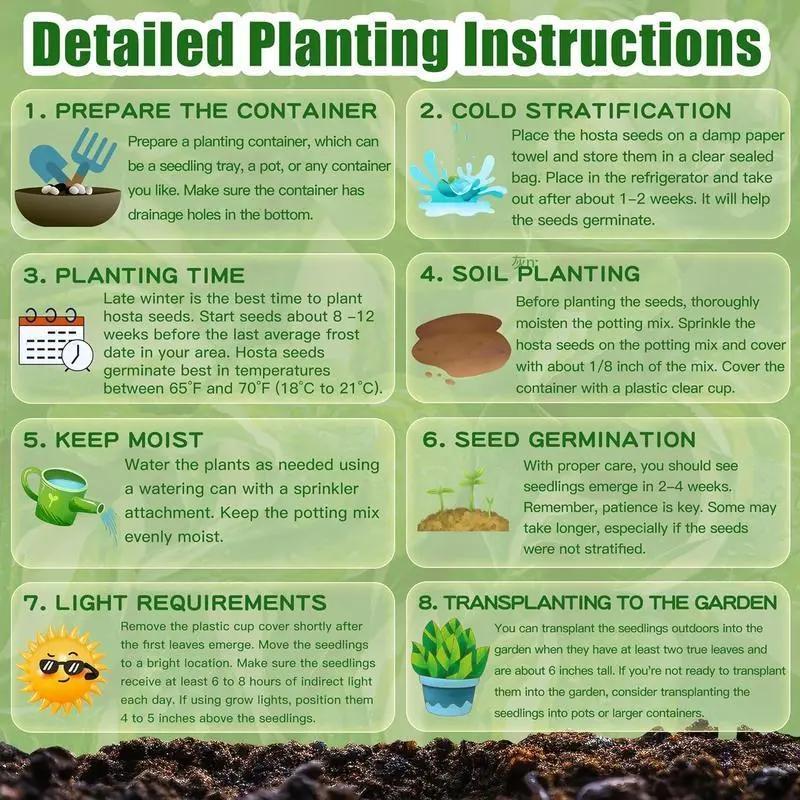 💥2025 Sonderangebot 🌌Funkiensamen – Mehrjährige Schattenpflanze für den Garten