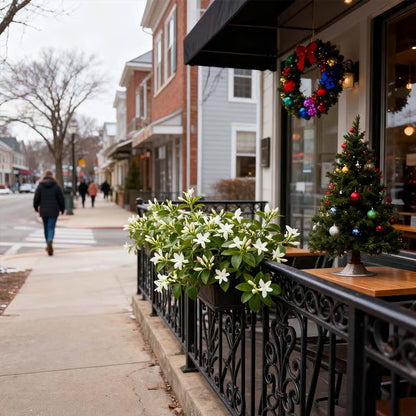 🏆 Über 75.000 verkauft! 🌿❄️ Jasmin-Samen „Midnight Perfume“ – Winterpflanzung, mehrjährige Blüten und duftende Garten-Eleganz 🌸